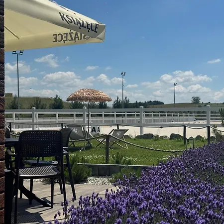 Myslinow - Black Horse Bar&grill